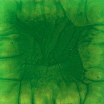 Green Envy