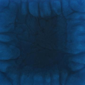 Deep Blue Sea