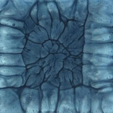 Blue Slate