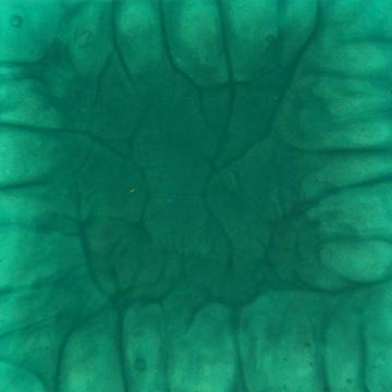 Bora Bora Blue