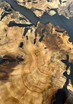 Translucent Black Epoxy & Maple Burl Coffee Table 10