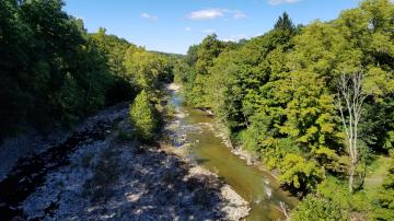 Chagrin Valley in the Summer