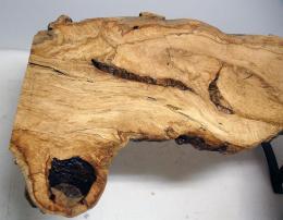 Natural Maple Burl Live Edge Coffee Table 3