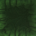 Resin: Emerald