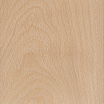 Wood: Beech Wood