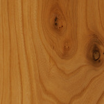 Wood: Elm