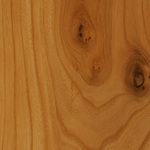 Wood: Elm